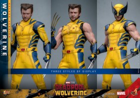 Wolverine (Deluxe Version) Deadpool & Wolverine Movie Masterpiece 1/6 Action Figure by Hot Toys