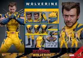 Wolverine (Deluxe Version) Deadpool & Wolverine Movie Masterpiece 1/6 Action Figure by Hot Toys