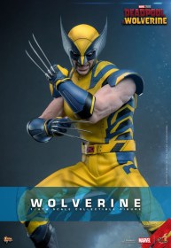 Wolverine Deadpool & Wolverine Movie Masterpiece 1/6 Action Figure by Hot Toys
