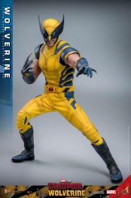 Wolverine Deadpool & Wolverine Movie Masterpiece 1/6 Action Figure by Hot Toys