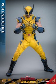 Wolverine Deadpool & Wolverine Movie Masterpiece 1/6 Action Figure by Hot Toys
