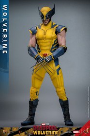 Wolverine Deadpool & Wolverine Movie Masterpiece 1/6 Action Figure by Hot Toys