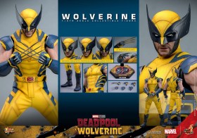 Wolverine Deadpool & Wolverine Movie Masterpiece 1/6 Action Figure by Hot Toys