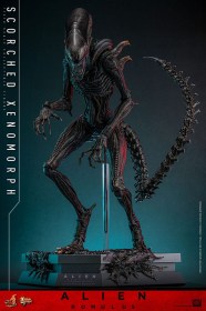 Scorched Xenomorph Alien Romulus 1/6 Action Figure by Hot Toys