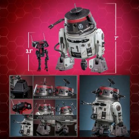 Chopper (C1-10P™) & BD-1™ (Imperial Disguise) Star Wars 1/6 Action Figure Set by Hot Toys