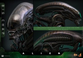 Big Chap Alien 1/6 Action Figure by Hot Toys