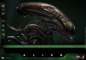 Big Chap Alien 1/6 Action Figure by Hot Toys