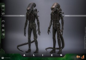 Big Chap Alien 1/6 Action Figure by Hot Toys