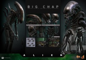 Big Chap Alien 1/6 Action Figure by Hot Toys