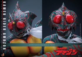 Amazon (Daisuke Yamamoto) Kamen Rider Amazon 1/6 Figure by Hot Toys