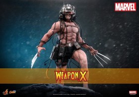 Weapon X Marvel 1/6 Action Figure by Hot Toys
