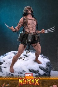 Weapon X Marvel 1/6 Action Figure by Hot Toys