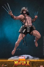 Weapon X Marvel 1/6 Action Figure by Hot Toys