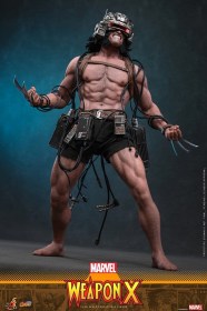 Weapon X Marvel 1/6 Action Figure by Hot Toys