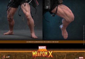 Weapon X Marvel 1/6 Action Figure by Hot Toys