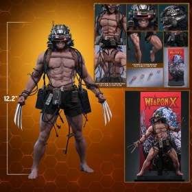 Weapon X Marvel 1/6 Action Figure by Hot Toys