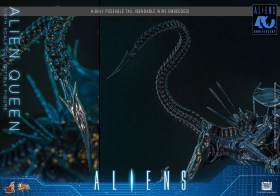 Alien Queen Alien 1/6 Action Figure by Hot Toys