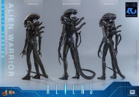 Alien Warrior (Deluxe Version) Alien 1/6 Action Figure by Hot Toys