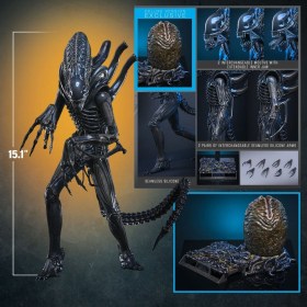 Alien Warrior (Deluxe Version) Alien 1/6 Action Figure by Hot Toys