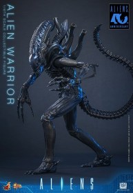 Alien Warrior Alien 1/6 Action Figure by Hot Toys