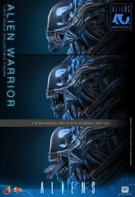 Alien Warrior Alien 1/6 Action Figure by Hot Toys
