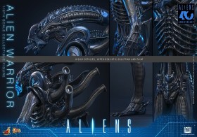 Alien Warrior Alien 1/6 Action Figure by Hot Toys