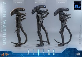 Alien Warrior Alien 1/6 Action Figure by Hot Toys