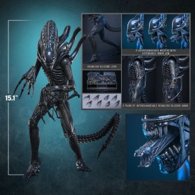 Alien Warrior Alien 1/6 Action Figure by Hot Toys