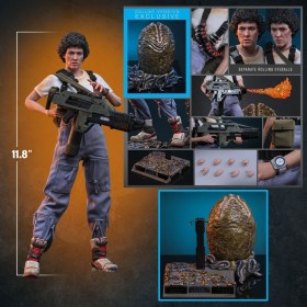 Ellen Ripley (Deluxe Version) Alien 1/6 Action Figure by Hot Toys