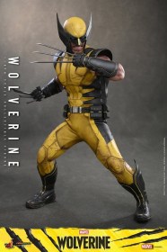 Wolverine Marvel 1/6 Action Figure by Hot Toys