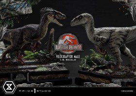 Velociraptor Male Jurassic Park III Legacy Museum Collection 1/6 Statue by Prime 1 Studio