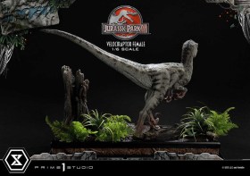 Velociraptor Female Jurassic Park III Legacy Museum Collection 1/6 Statue by Prime 1 Studio