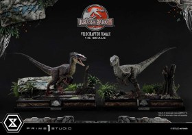 Velociraptor Female Jurassic Park III Legacy Museum Collection 1/6 Statue by Prime 1 Studio