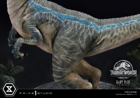 Baby Blue Jurassic World Fallen Kingdom Prime Collectibles 1/2 Statue by Prime 1 Studio