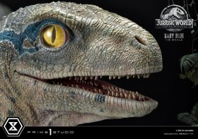 Baby Blue Jurassic World Fallen Kingdom Prime Collectibles 1/2 Statue by Prime 1 Studio