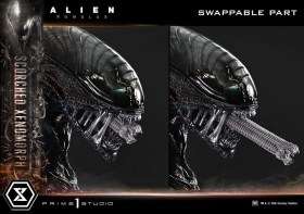 Scorched Xenomorph Alien Romulus 1/3 Statue by Prime 1 Studio