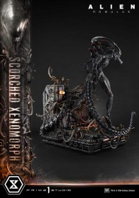 Scorched Xenomorph Alien Romulus 1/3 Statue by Prime 1 Studio