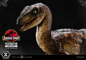 Velociraptor Open Mouth Jurassic Park Prime Collectibles 1/10 Statue by Prime 1 Studio