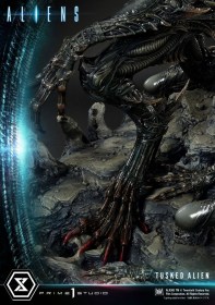 Tusked Alien Bonus Version (Dark Horse Comics) Aliens Premium Masterline Series 1/4 Statue by Prime 1 Studio
