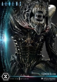 Tusked Alien Bonus Version (Dark Horse Comics) Aliens Premium Masterline Series 1/4 Statue by Prime 1 Studio