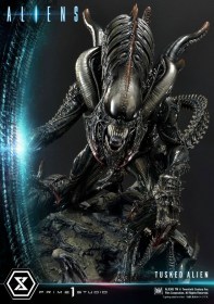 Tusked Alien Bonus Version (Dark Horse Comics) Aliens Premium Masterline Series 1/4 Statue by Prime 1 Studio