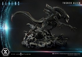 Tusked Alien Bonus Version (Dark Horse Comics) Aliens Premium Masterline Series 1/4 Statue by Prime 1 Studio