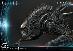 Tusked Alien Bonus Version (Dark Horse Comics) Aliens Premium Masterline Series 1/4 Statue by Prime 1 Studio