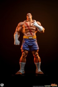 Sagat & Juli Street Fighter Street Jam 1/10 Statue by PCS