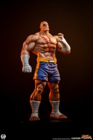 Sagat & Juli Street Fighter Street Jam 1/10 Statue by PCS