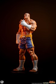 Sagat & Juli Street Fighter Street Jam 1/10 Statue by PCS
