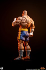 Sagat & Juli Street Fighter Street Jam 1/10 Statue by PCS