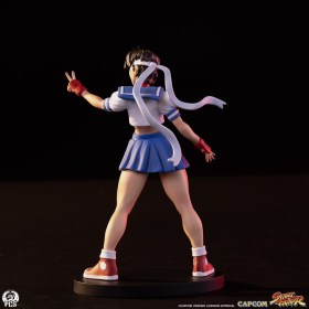 Sakura & Sodom Street Fighter Street Jam 1/10 Statues by PCS