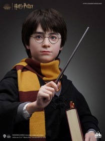 Harry Potter 1/1 Life Size Bust by Queen Studios