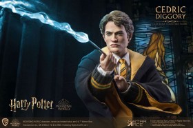 Cedric Diggory Deluxe Version Harry Potter My Favourite Movie 1/6 Action Figure by Star Ace Toys